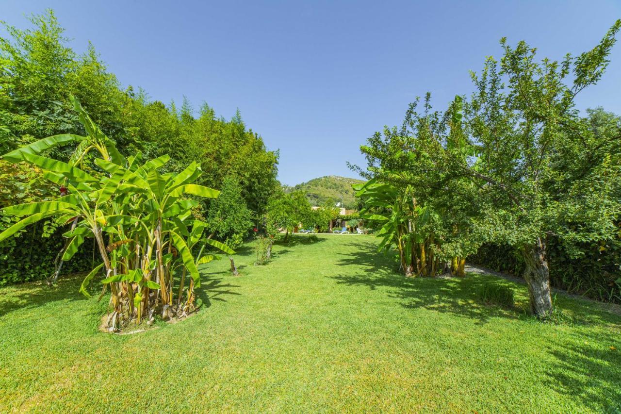Villa Martin / Son Siurana Alcudia  Zewnętrze zdjęcie